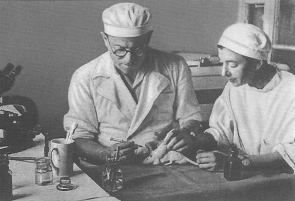 Л. А. Зильбер и З. Л. Байдакова.  Фотография середины 50-х годов