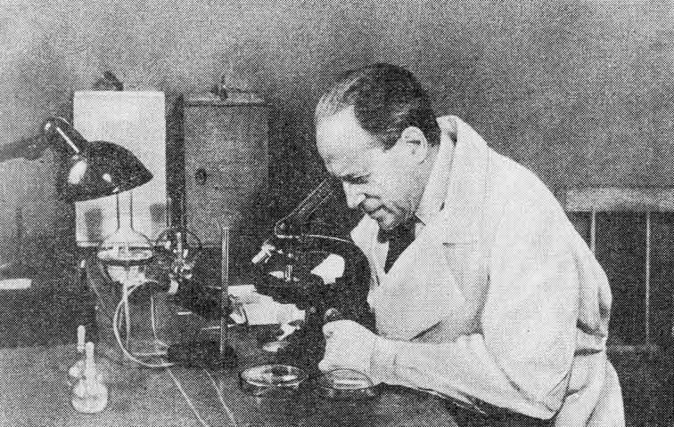 Л. А. Зильбер за работой в лаборатории (1949)